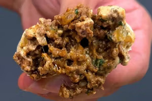 e08392ff-55ce-42a9-838a-7ac4cc902787